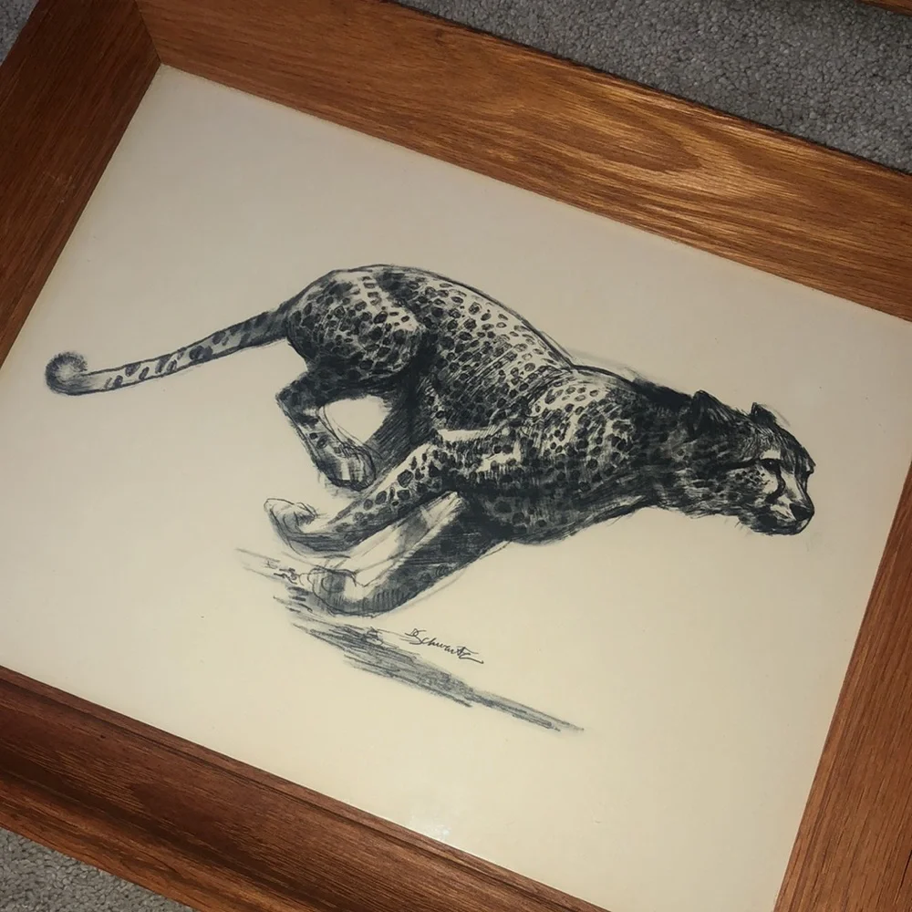 Vintage Art Etchings Drawing Cheetah Framed D.‎  Schwartz